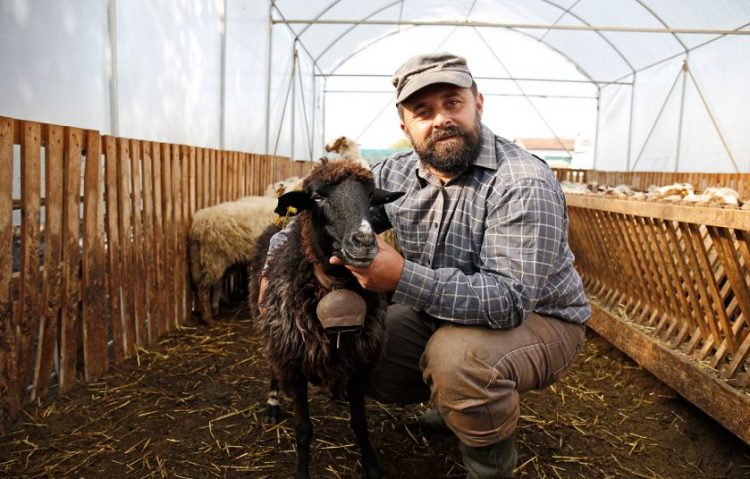 Ο επίμονος βοσκός των Τρικάλων