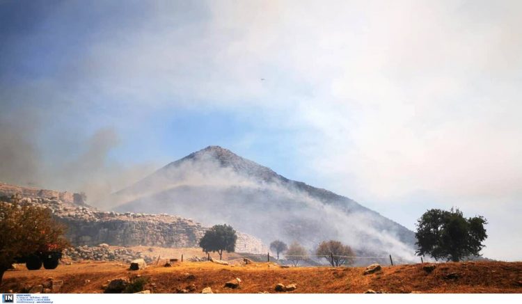 Στάχτη και αποκαΐδια από τη φωτιά στις Μυκήνες – Δείτε πώς είναι ο αρχαιολογικός χώρος