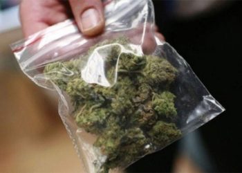 Σύλληψη για κάνναβη στα Τρίκαλα