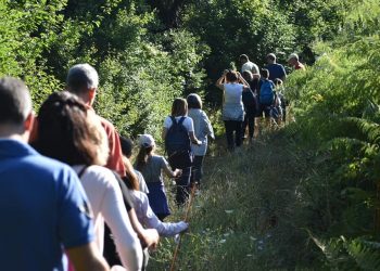 Νεραϊδοπερπατήματα… στην Καστανιά