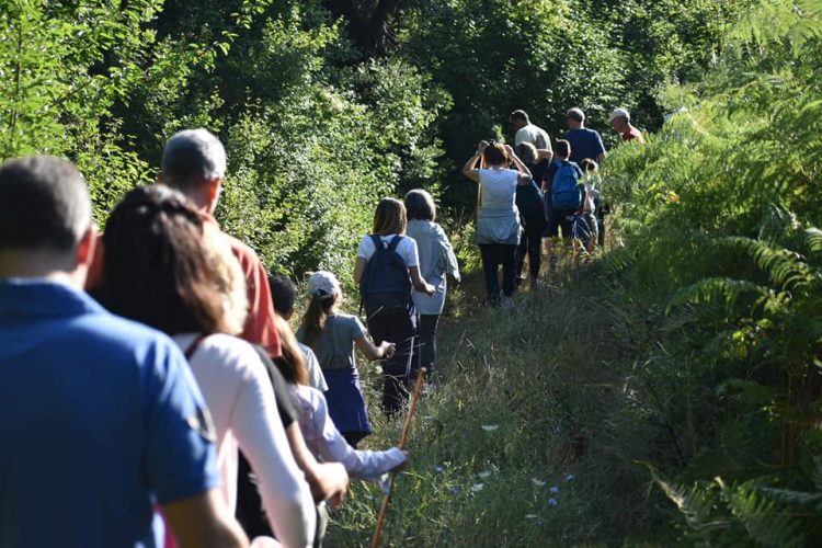 Νεραϊδοπερπατήματα… στην Καστανιά