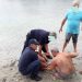 Από πνιγμό έσωσε ηλικιωμένη ο Τρικαλινός Αρχικελευστής του Λιμενικού Γεώργιος Χήρας