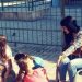 Ανοικτή επιστολή Τρικαλινής ανάπηρης εκπαιδευτικού στη Νίκη Κεραμέως