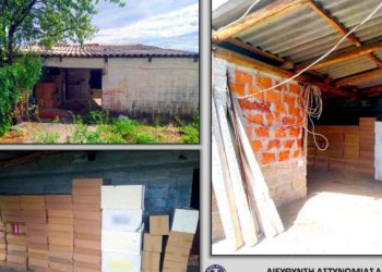 Λάρισα: “Λαβράκι” στα χέρια της αστυνομίας – Έκρυβε στο σπίτι όπλα και σε αποθήκη δεκάδες χιλιάδες πακέτα λαθραίων τσιγάρων (φωτο)
