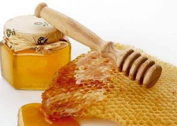 5 πράγματα που δεν ξέρατε για το μέλι και τον τρόπο παραγωγής του