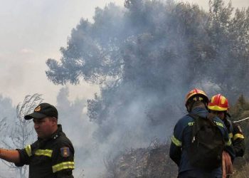 Λάρισα: Φωτιά στα Φάρσαλα