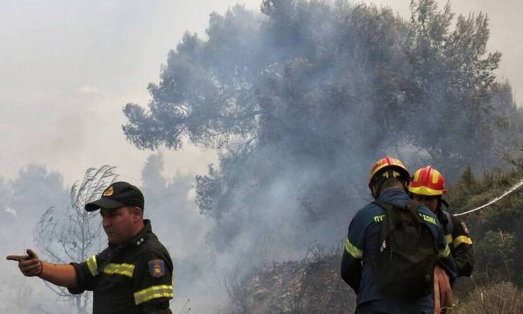 Λάρισα: Φωτιά στα Φάρσαλα