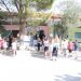 Το πρώτο κουδούνι  κτύπησε στα Σχολεία του Δήμου  Πύλης