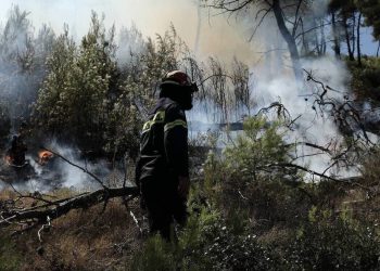 Πύθωνας κρεμόταν από την οροφή με τεράστια λεία στο στόμα του (pics)