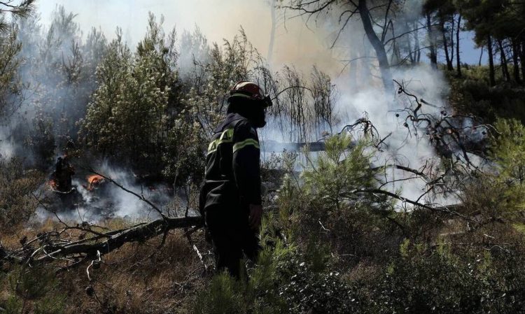 Πύθωνας κρεμόταν από την οροφή με τεράστια λεία στο στόμα του (pics)