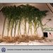 Τρικαλινός συνελήφθη την ώρα της… συγκομιδής σε φυτεία κάνναβης σε χωριό των Τρικάλων