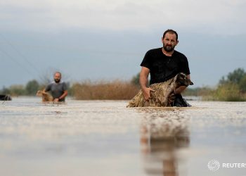 Κτηνοτρόφοι σώζουν τα ζώα τους από τη θεομηνία στα Μεγάλα Καλύβια-Η συγκλονιστική φωτογραφία που κάνει το γύρο του κόσμου