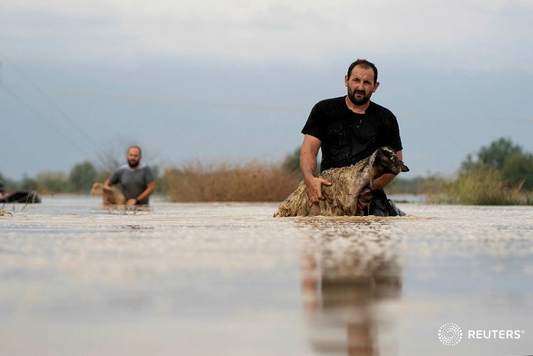 Κτηνοτρόφοι σώζουν τα ζώα τους από τη θεομηνία στα Μεγάλα Καλύβια-Η συγκλονιστική φωτογραφία που κάνει το γύρο του κόσμου
