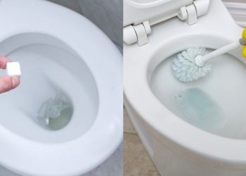 Καθαρίστε άλατα και βρωμιές από τη λεκάνη της τουαλέτας με ένα σπιτικό καθαριστικό, πιο δυνατό από τα χημικά