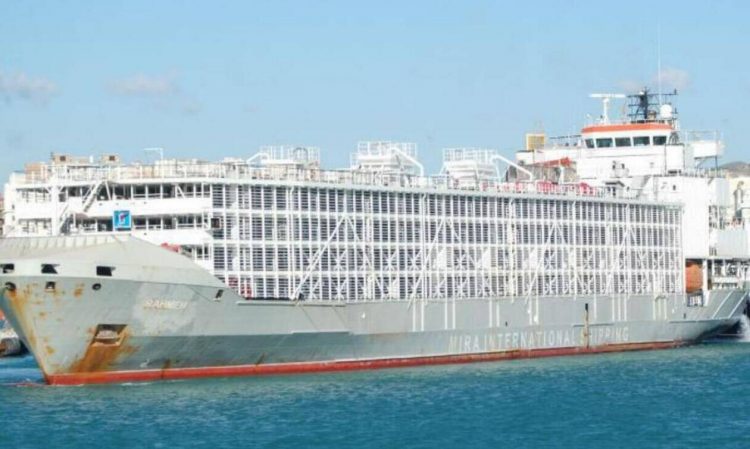 Τυφώνας Μαϊσάκ: Χάθηκε πλοίο με 43 άτομα πλήρωμα και χιλιάδες ζώα φορτίο