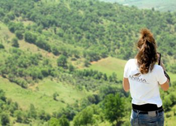 Τρίκαλα: Ταξίδι στους μοναδικούς βιοτόπους προστατευόμενων περιοχών- Σπάνια χλωρίδα και πανίδα