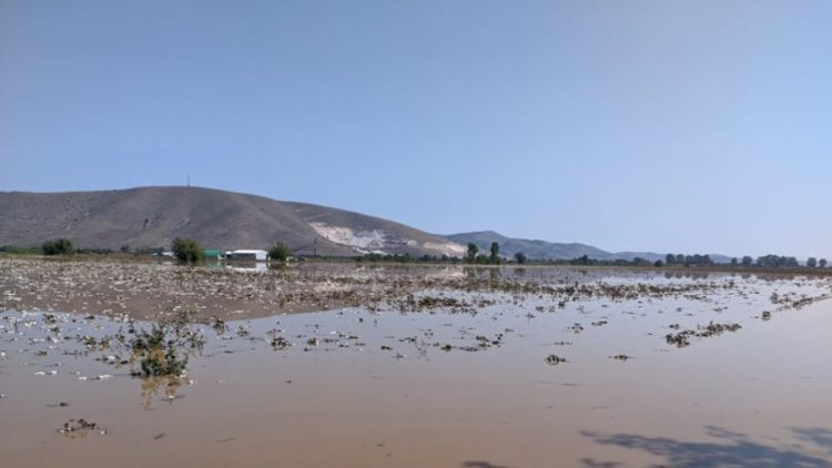 Αποζημιώσεις αγροτικών εκμεταλλεύσεων που επλήγησαν από τον “Ιανό”