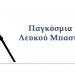 15 Οκτωβρίου Παγκόσμια Ημέρα για τους τυφλούς: “Δε βλέπω, βλέπεις όμως εσύ…”
