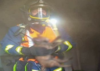 Πυρκαγιά σε μονοκατοικία στη Σωτήρα-Τραγική κατάληξη για 4 κατοικίδια (photo)