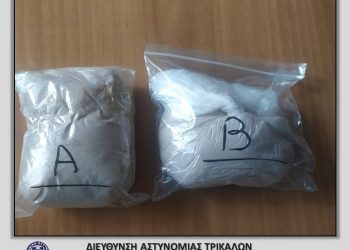 Μεγάλη επιτυχία Τρικαλινών αστυνομικών στον Έβρο-Συνέλαβαν αλλοδαπό με 795 γραμμάρια ηρωΐνης