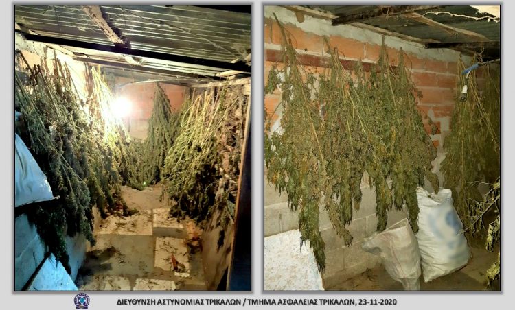 Δέκα κιλά χασίς στο σπίτι και σε αποθήκη Τρικαλινού