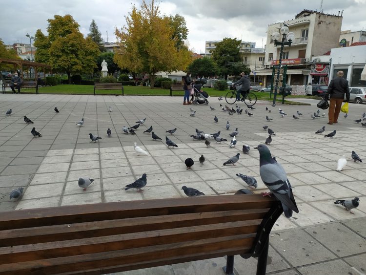 Εικόνες από τα Τρίκαλα της… καραντίνας (φωτό)