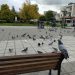 Εικόνες από τα Τρίκαλα της… καραντίνας (φωτό)