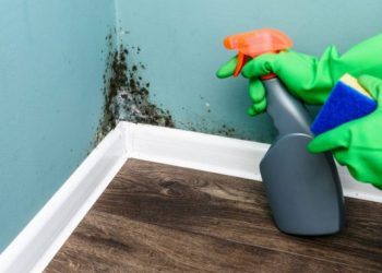 Η μούχλα στο σπίτι αυξάνει τον κίνδυνο θανάτου από COVID-19!