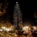 Διαδικτυακά Χριστούγεννα στα Τρίκαλα!-Φωτίστηκε το ψηλότερο φυσικό χριστουγεννιάτικο δέντρο της Ελλάδας