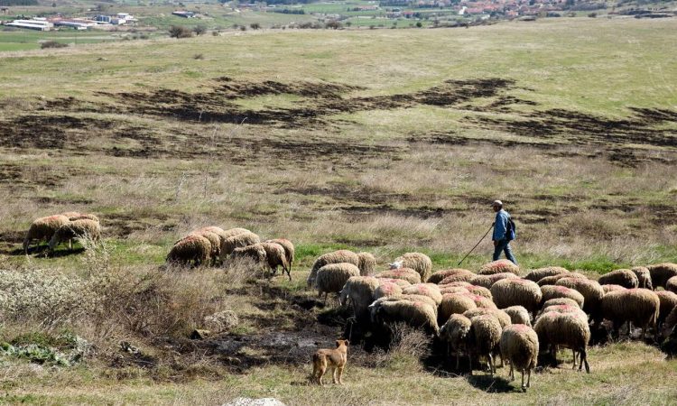 Εξισωτική αποζημίωση: Στα 256,9 εκατ. ευρώ ο προϋπολογισμός για το 2020 – Όλη η απόφαση