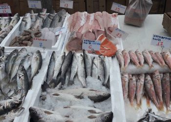 Ψαράς κατέρρευσε στη λαϊκή των Τρικάλων