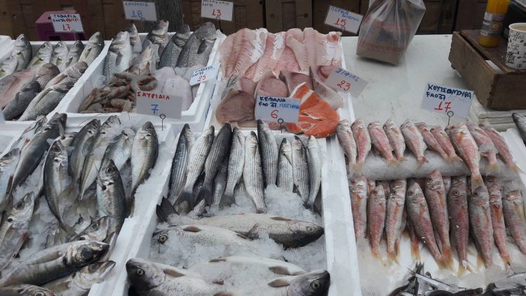 Ψαράς κατέρρευσε στη λαϊκή των Τρικάλων