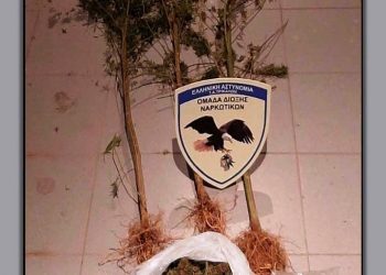 Τρικαλινοί έκρυβαν ναρκωτικά στη στέγη του σπιτιού τους-Ποσότητες και σε αποθήκες και σε αγρόκτημα