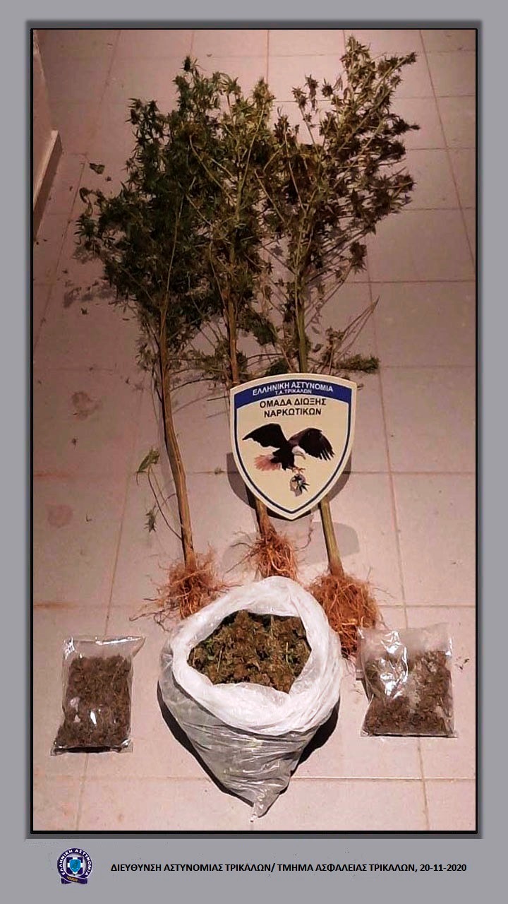 Τρικαλινοί έκρυβαν ναρκωτικά στη στέγη του σπιτιού τους-Ποσότητες και σε αποθήκες και σε αγρόκτημα