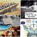 Ανθρώπινα δικαιώματα: Κατάκτηση ή πλάνη;