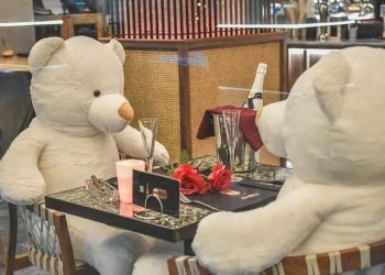 Cafe στο κέντρο της Καρδίτσας στόλισε και έβαλε αρκούδους για πελάτες -Ολοι οι κάτοικοι μιλάνε γι΄ αυτό
