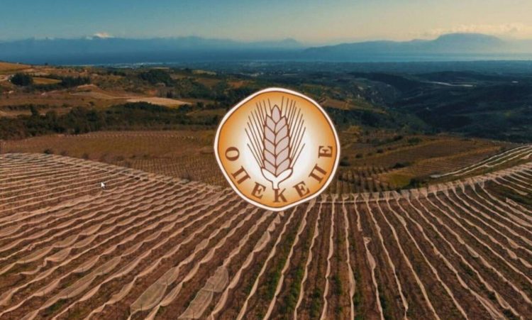 ΟΠΕΚΕΠΕ: Από σήμερα οι τεράστιες πληρωμές που αγγίζουν το 1,2 δισ. ευρώ