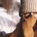 Shopping Guide: Τα σκουφάκια που θα φοράς το φετινό χειμώνα για στυλάτες εμφανίσεις