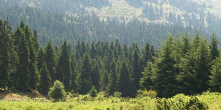 Τρίκαλα: Ένα ταξίδι στους μοναδικούς βιοτόπους Natura 2000 – Σπάνια χλωρίδα και πανίδα