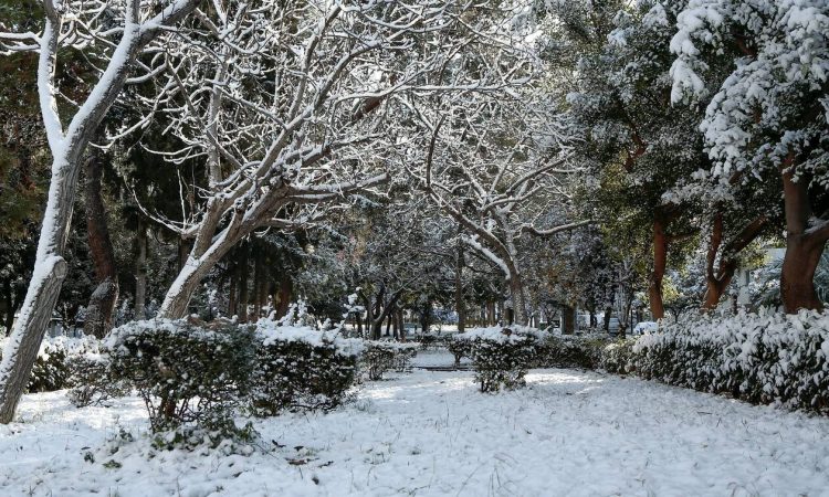 Κακοκαιρία «Λέανδρος»: Στην «κατάψυξη» και σήμερα η χώρα – Πολικό ψύχος και χιονοπτώσεις