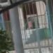 Χαλκίδα: Βίντεο ντοκουμέντο με το παιδί που άφησε στο κρύο η νηπιαγωγός (vid)