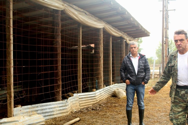 Έργα για αποκατάσταση υποδομών από τις πληγές του Ιανού στη Θεσσαλία ανακοίνωσε η περιφέρεια