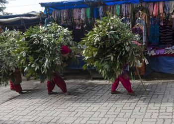Ινδία: Πήγαν με… πτώμα εργάτη σε τράπεζα για να «σηκώσουν» χρήματα