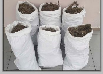 Τρίκαλα: Έκρυβε σε αγρόκτημα περισσότερα από 24 κιλά κάνναβης