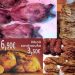 Όρνιθες εις την πυράν… Το πιο καλοψημένο και λαχταριστό κοτόπουλο της πόλης σε τιμή που… ξετρελαίνει