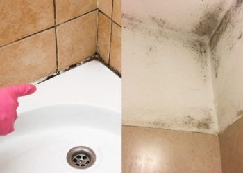 Εξαφανίστε μούχλα και υγρασία από το μπάνιο σε 6 απλά βήματα και κάντε το να λάμπει σαν καινούριο