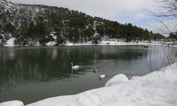 Καιρός – Πλησιάζει η «Μήδεια»: Παρασκευή με ήλιο – Σάββατο με χιόνια και πολικές θερμοκρασίες