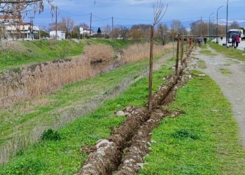 150 νέα δέντρα ομορφαίνουν τον Ληθαίο ποταμό