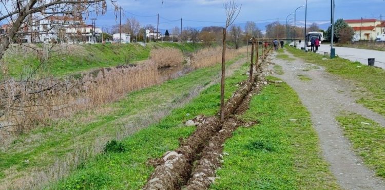 150 νέα δέντρα ομορφαίνουν τον Ληθαίο ποταμό