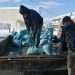 Ανάρπαστο το δωρεάν αλάτι στον Δήμο Τρικκαίων
